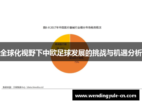 全球化视野下中欧足球发展的挑战与机遇分析