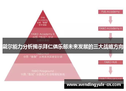 戴尔能力分析揭示拜仁俱乐部未来发展的三大战略方向