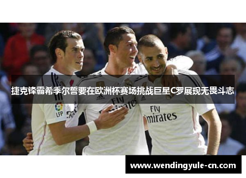 捷克锋霸希季尔誓要在欧洲杯赛场挑战巨星C罗展现无畏斗志