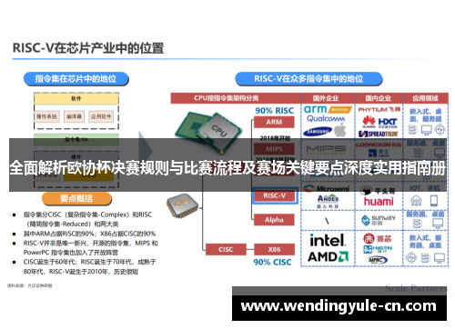 全面解析欧协杯决赛规则与比赛流程及赛场关键要点深度实用指南册